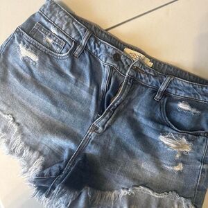 Hidden Women's Blue and Navy Shorts